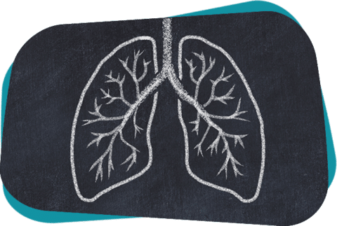 Chronic Obstructive Pulmonary Disease (copd) Research 